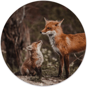 Label2X - Muurcirkel foxes - Ø 120 cm - Forex - Multicolor - Wandcirkel - Rond Schilderij - Muurdecoratie Cirkel - Wandecoratie rond - Decoratie voor woonkamer of slaapkamer