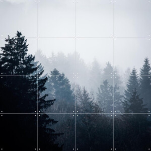 IXXI Woods 7, Mareike Böhmer - 80 x 80 cm - Gratis ophangtool - Grote wanddecoratie en posters - Fotografie, Slaapkamer, Woonkamer, Winter, Mist