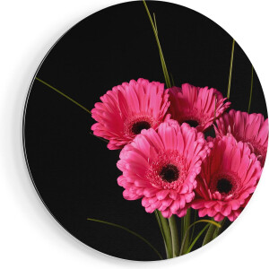 Artaza Dibond Muurcirkel Roze Gerbera Bloemen - Ø 90 cm - Groot - Wandcirkel - Rond Schilderij - Voor Binnen en Buiten