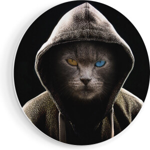 Artaza Forex Muurcirkel Boze Kat Draagt Een Hoodie - 40x40 cm - Klein - Wandcirkel - Rond Schilderij - Wanddecoratie Cirkel