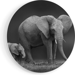Artaza Forex Muurcirkel Olifant Moeder En Zoon - Zwart Wit - 40x40 cm - Klein - Wandcirkel - Rond Schilderij - Wanddecoratie Cirkel