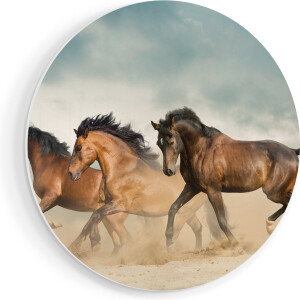Artaza Forex Muurcirkel Drie Bruine Paarden - 50x50 cm - Klein - Wandcirkel - Rond Schilderij - Muurdecoratie Cirkel