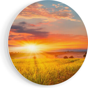 Artaza Forex Muurcirkel Zonsopgang Op Het Maïsveld - 90x90 cm - Groot - Wandcirkel - Rond Schilderij - Muurdecoratie Cirkel