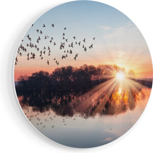 Artaza Forex Muurcirkel Groep Vogels Boven De Meer Met Zonsondergang - 90x90 cm - Groot - Wandcirkel - Rond Schilderij - Muurdecoratie Cirkel