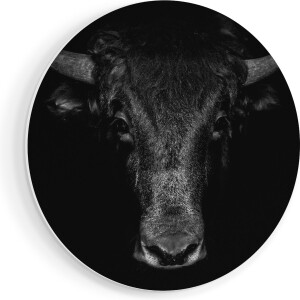 Artaza Forex Muurcirkel Stierenkop - Stier - Zwart Wit - 80x80 cm - Groot - Wandcirkel - Rond Schilderij - Wanddecoratie Cirkel