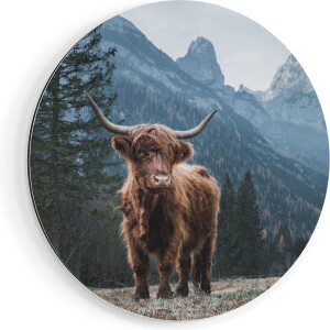 Artaza Dibond Muurcirkel Schotse Hooglander Koe In De Bergen - Ø 40 cm - Klein - Wandcirkel - Rond Schilderij - Voor Binnen en Buiten