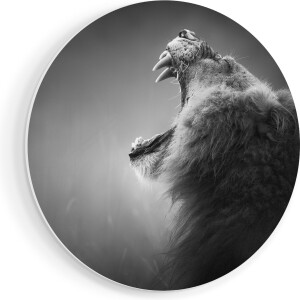Artaza Forex Muurcirkel Brullende Leeuw - Zwart Wit - 50x50 cm - Klein - Wandcirkel - Rond Schilderij - Muurdecoratie Cirkel