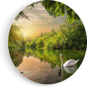 Artaza Forex Muurcirkel Zwaan op het Water in het Bos - 90x90 cm - Groot - Wandcirkel - Rond Schilderij - Muurdecoratie Cirkel