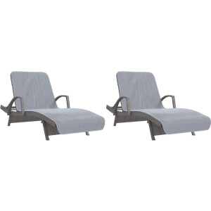 vidaXL - Strandhanddoeken - 2 - st - 400 - g/m² - 75x200 - cm - stof - grijs