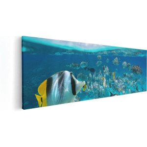 Artaza Canvas Schilderij Vissen Onderwater - 120x40 cm - Groot - Wanddecoratie Zee - Muurdecoratie Tropische Vissen - Decoratie Koraalrif