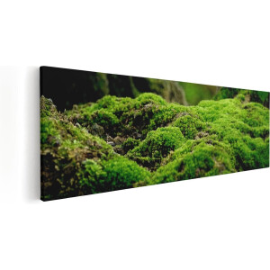Artaza Canvas Schilderij Groen Mos - 120x40 cm - Groot - Wanddecoratie Woonkamer - Schilderijen - Muurdecoratie