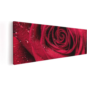 Artaza Canvas Schilderij Rode Roos Met Waterdruppels - Bloem - 60x20 - Foto Op Canvas - Canvas Print