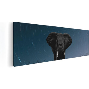 Artaza Canvas Schilderij Olifant Omringd Met Sterren  - 60x20 - Foto Op Canvas - Canvas Print