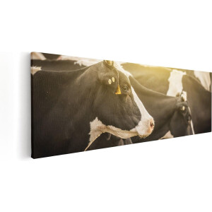 Artaza Canvas Schilderij Zwart Wit Koeien In De Wei Met Zon - 120x40 - Groot - Foto Op Canvas - Canvas Print