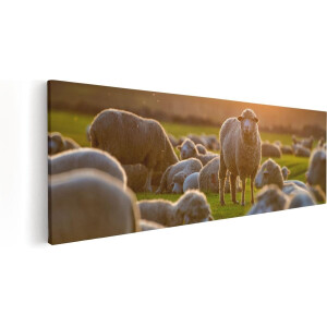 Artaza Canvas Schilderij Kudde Schapen bij Zonsondergang - 90x30 - Foto Op Canvas - Canvas Print