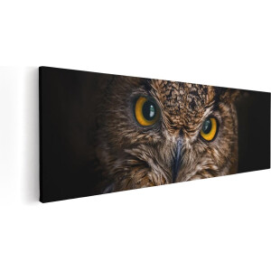 Artaza Canvas Schilderij Uilenkop Met Gele Ogen - Uil - 90x30 - Foto Op Canvas - Canvas Print