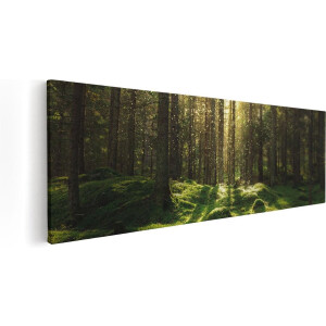 Artaza Canvas Schilderij Bos met Groen Mos op de Grond - 90x30 - Foto Op Canvas - Canvas Print