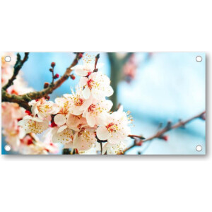 Abrikozenboom met prachtig gekleurde bloemen - Tuinposter 200x100 - Wanddecoratie - Natuur - Bloemen