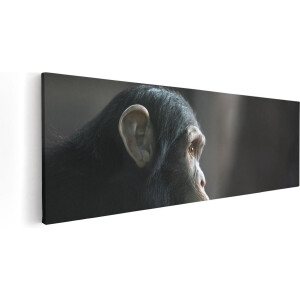 Artaza Canvas Schilderij Verbaasde Aap Vanaf De Zijkant - 90x30 - Foto Op Canvas - Canvas Print