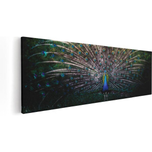 Artaza Canvas Schilderij Pauw Met Kleurrijke Veren - Kleur - 60x20 - Foto Op Canvas - Canvas Print