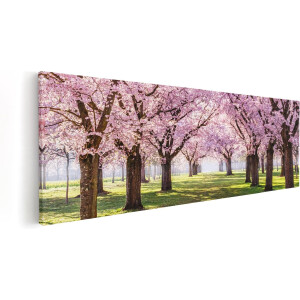 Artaza Canvas Schilderij Roze Bloesembomen Park - Bloemen - 120x40 - Groot - Foto Op Canvas - Canvas Print