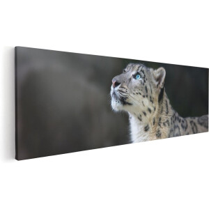 Artaza Canvas Schilderij Luipaard Met Blauwe Ogen  - 60x20 - Foto Op Canvas - Canvas Print