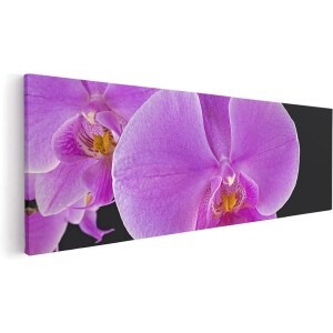 Artaza Canvas Schilderij Licht Paarse Orchidee - Bloem - 90x30 - Foto Op Canvas - Canvas Print