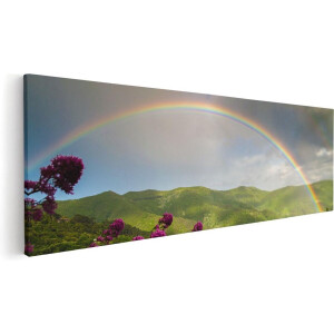 Artaza Canvas Schilderij Regenboog in de Heuvel Bossen - 60x20 - Foto Op Canvas - Canvas Print