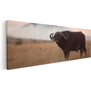 Artaza Canvas Schilderij Buffel in het Gras - 60x20 - Foto Op Canvas - Canvas Print