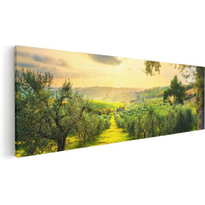 Artaza Canvas Schilderij Toscane - 120x40 cm - Groot - Wanddecoratie Landschap - Muurdecoratie Olijfboom - Schilderijen Op Canvas Natuur