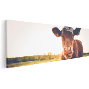 Artaza Canvas Schilderij Koe In De Wei Tijdens Zonsondergang - 90x30 - Foto Op Canvas - Canvas Print