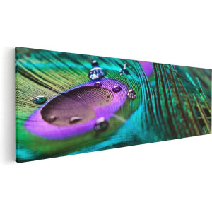 Artaza Canvas Schilderij Kleurrijke Pauw Veer Met Waterdruppels  - 60x20 - Foto Op Canvas - Canvas Print