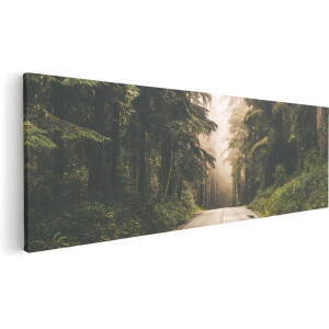 Artaza Canvas Schilderij Highway In Californië Omring Met Bos  - 120x40 - Groot - Foto Op Canvas - Canvas Print