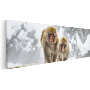 Artaza Canvas Schilderij Twee Aapjes In De Sneeuw Op Rotsen - 60x20 - Foto Op Canvas - Canvas Print