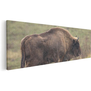 Artaza Canvas Schilderij Bizon - 120x40 cm - Groot - Wanddecoratie Dieren - Muurdecoratie Buffel - Schilderijen Op Canvas