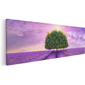 Artaza Canvas Schilderij Boom - 90x30 cm - Wanddecoratie Lavendelveld - Muurdecoratie Landschap - Schilderijen Op Canvas Natuur - Paars