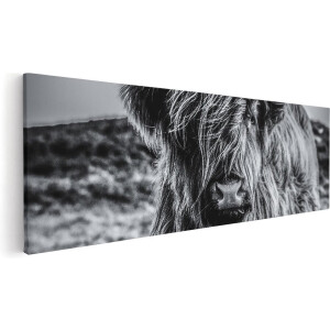 Artaza Canvas Schilderij Schotse Hooglander - 90x30 cm - Wanddecoratie Woonkamer - Muurdecoratie Dieren - Zwart Wit
