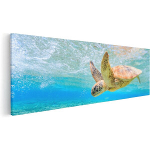 Artaza Canvas Schilderij Schildpad Onderwater - 60x20 cm - Muurdecoratie Zee - Wanddecoratie Woonkamer - Kamer Accessoires