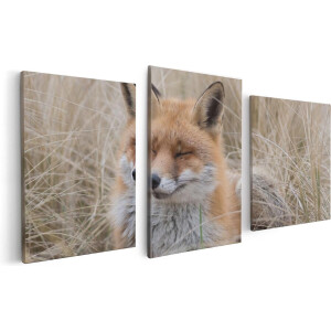 Artaza Canvas Schilderij Drieluik Vos in de Duinen  - 120x60 - Foto Op Canvas - Canvas Print