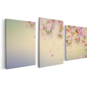Artaza Canvas Schilderij Drieluik Appelbloesem - Bloemen - 120x60 - Foto Op Canvas - Canvas Print