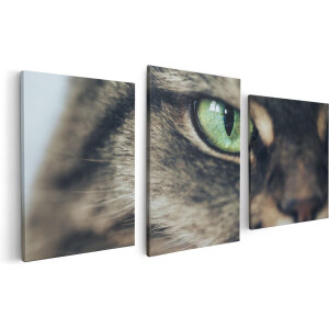 Artaza Canvas Schilderij Drieluik Kat Met Groene Ogen Van Dichtbij - 120x60 - Foto Op Canvas - Canvas Print