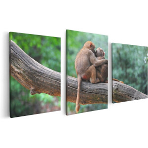 Artaza Canvas Schilderij Drieluik Twee Apen Vrienden Op Een Tak In Een Boom - 120x60 - Foto Op Canvas - Canvas Print