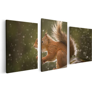 Artaza Canvas Schilderij Drieluik Eekhoorn in de Regen - 120x60 - Foto Op Canvas - Canvas Print