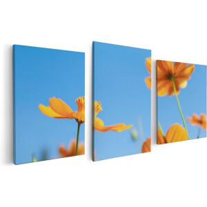 Artaza Canvas Schilderij Drieluik Oranje Cosmea Bloemen - 120x60 - Foto Op Canvas - Canvas Print