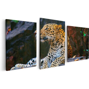 Artaza Canvas Schilderij Drieluik Luipaard Op De Rotsen - 120x60 - Foto Op Canvas - Canvas Print