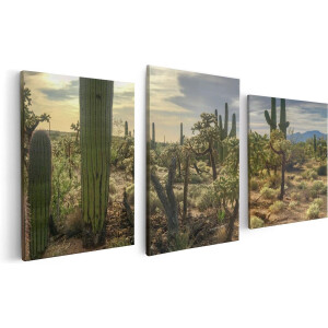 Artaza Canvas Schilderij Drieluik Cactus Planten in het Wild - 120x60 - Foto Op Canvas - Canvas Print
