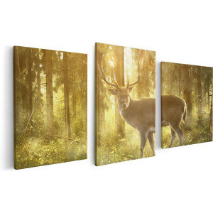 Artaza Canvas Schilderij Drieluik Hert In Bos Met Zon - 120x60 - Foto Op Canvas - Canvas Print