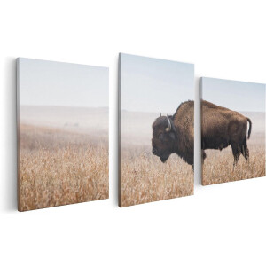 Artaza Canvas Schilderij Drieluik Bizon in het Gras - 120x60 - Foto Op Canvas - Canvas Print