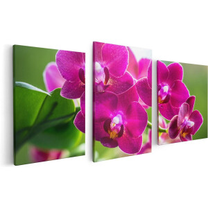 Artaza Canvas Schilderij Drieluik Roze Orchidee Bloemen - 120x60 - Foto Op Canvas - Canvas Print