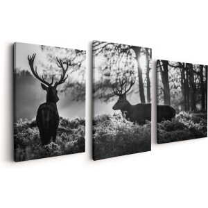 Artaza Canvas Schilderij Drieluik Twee Herten tijdens de Zonsondergang - Zwart Wit - 120x60 - Foto Op Canvas - Canvas Print